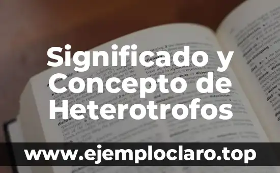 Significado y Concepto de Heterotrofos