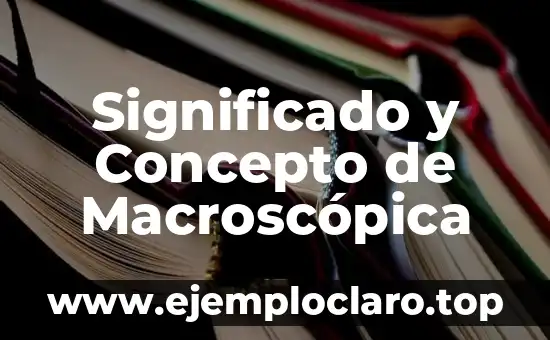 Significado y Concepto de Macroscópica