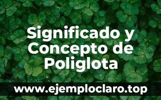 Significado y Concepto de Poliglota