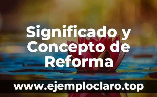 Significado y Concepto de Redarguir 5 Significado y Concepto de Reforma
