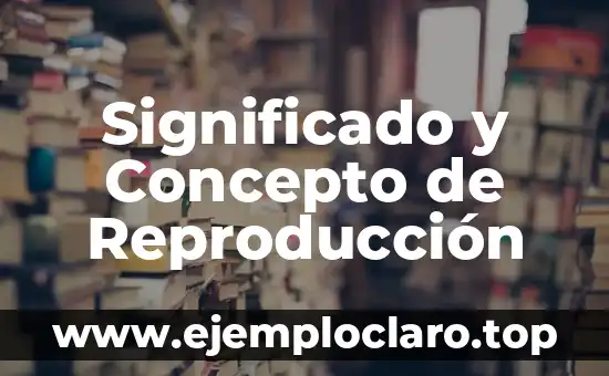 Significado y Concepto de Reproducción