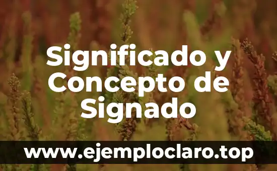 Significado y Concepto de Sistemática 4 Significado y Concepto de Signado