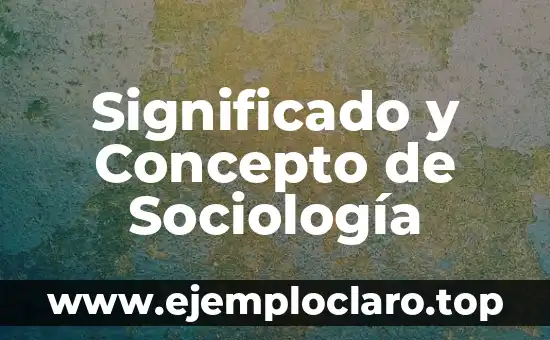 Significado y Concepto de Sociología