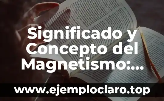 Significado y Concepto del Magnetismo: Una Guía Completa