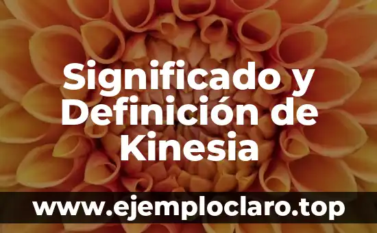 Significado y Definición de Kinesia