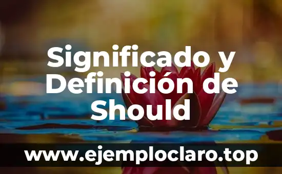 Significado y Definición de Should