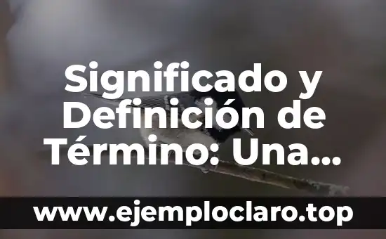 Significado y Definición de Término: Una Guía Integral