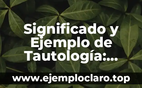 Significado y Ejemplo de Tautología: Explicación Completa