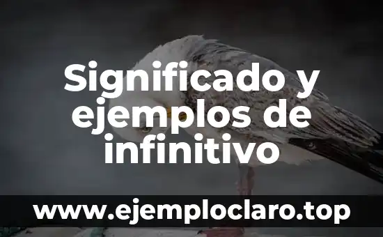 Explorando el Infinitivo y lo Ínfimo 4 Significado y ejemplos de infinitivo