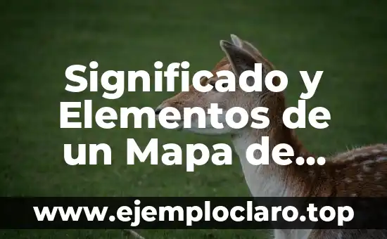 Significado y Elementos de un Mapa de Procesos