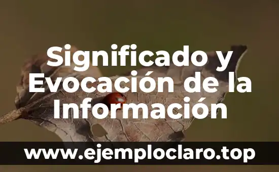 Teoría de la Información Significado 4 Significado y Evocación de la Información