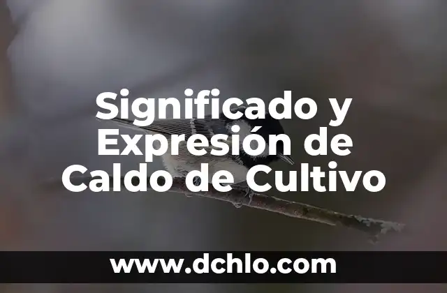 Emojis y Juegos de Personas: Un Mundo de Expresión Digital 8 Significado y Expresión de Caldo de Cultivo