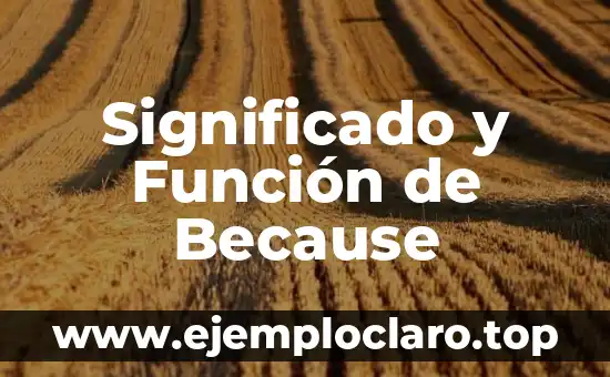 ¿Qué es la función del lenguaje? Definición y características 4 Significado y Función de Because