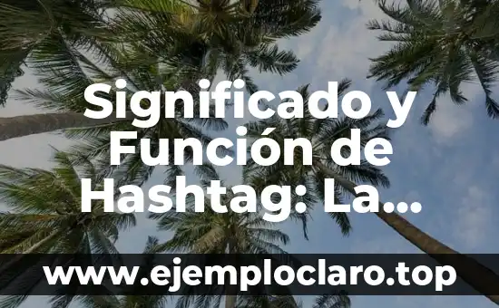 ¿Qué es la función del lenguaje? Definición y características 7 Significado y Función de Hashtag: La Clave del Éxito en las Redes Sociales