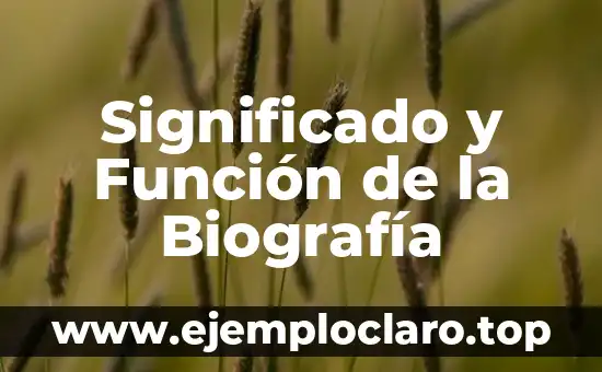 ¿Qué es la función del lenguaje? Definición y características 5 Significado y Función de la Biografía