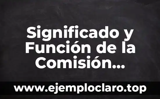 Significado y Función de la Comisión Nacional de Derechos Humanos