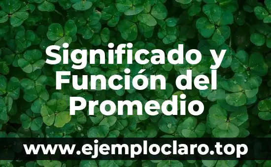 ¿Qué es la función del lenguaje? Definición y características 3 Significado y Función del Promedio