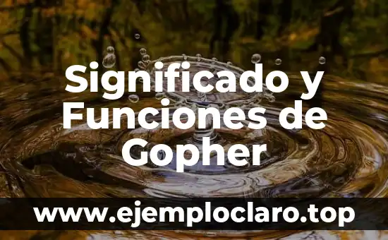 El Concepto y Significado de Zangolotear: Una Guía Completa 7 Significado y Funciones de Gopher