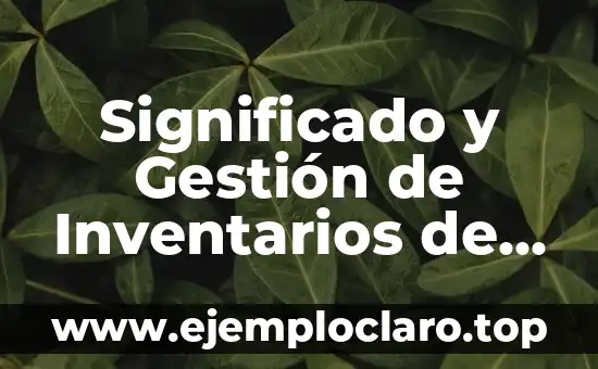 Inventarios de Materiales y Desperdicio: Un Enfoque Integral 5 Significado y Gestión de Inventarios de Activo Fijo en un Almacén