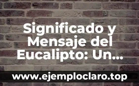 Significado y Mensaje del Eucalipto: Un Viaje a su Esencia