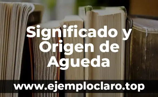 Buscar el significado de argumento 6 Significado y Origen de Agueda