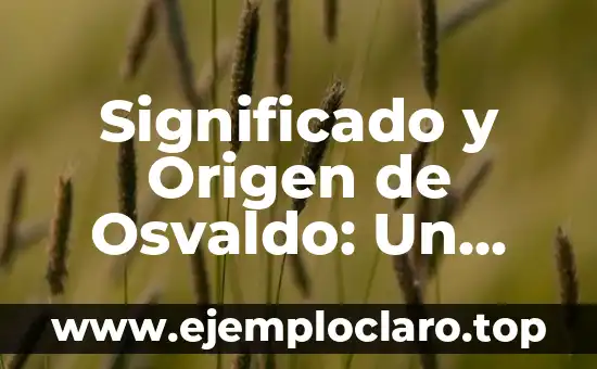 El Concepto de Guerra y su Impacto Histórico 6 Significado y Origen de Osvaldo: Un Nombre con Profundo Valor Histórico