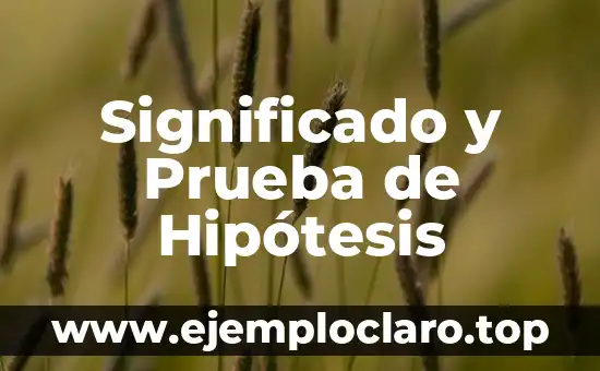 Significado y Sinónimo de Hipótesis: Guía Completa 4 Significado y Prueba de Hipótesis