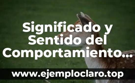 Significado y Sentido del Comportamiento Ético