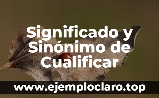 El Concepto de Biografía y su Significado 7 Significado y Sinónimo de Cualificar