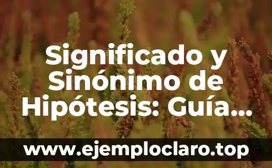 Significado y Sinónimo de Hipótesis: Guía Completa