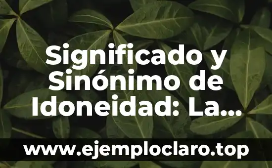 Zona de Vigilancia Aduanera: Un Concepto Clave en la Seguridad Fronteriza 3 Significado y Sinónimo de Idoneidad: La clave de la idoneidad