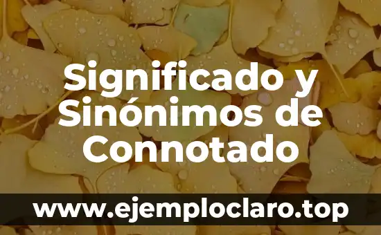 El Concepto de Biografía y su Significado 5 Significado y Sinónimos de Connotado
