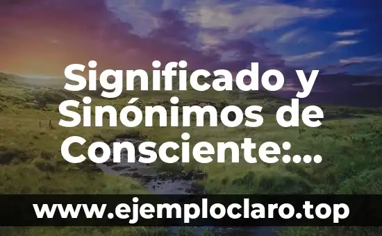 El Concepto de Biografía y su Significado 3 Significado y Sinónimos de Consciente: Guía Completa
