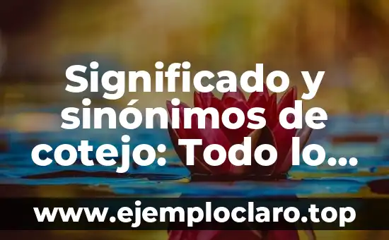 El significado de ser un bibliófilo: Todo lo que debes saber 5 Significado y sinónimos de cotejo: Todo lo que debes saber