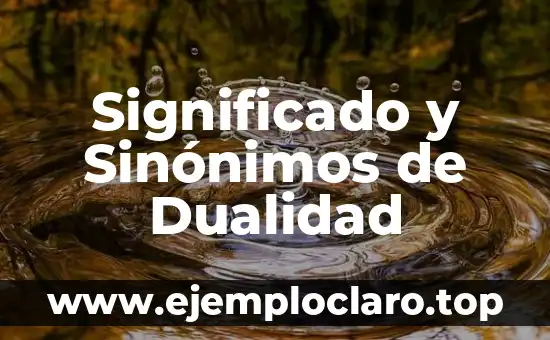 ¿Qué significa impugnar? Definición y sinónimos 8 Significado y Sinónimos de Dualidad