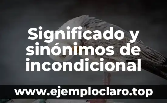 Símbolo de Amor Incondicional Celta Significado 3 Significado y sinónimos de incondicional