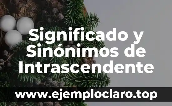 ¿Qué significa impugnar? Definición y sinónimos 3 Significado y Sinónimos de Intrascendente