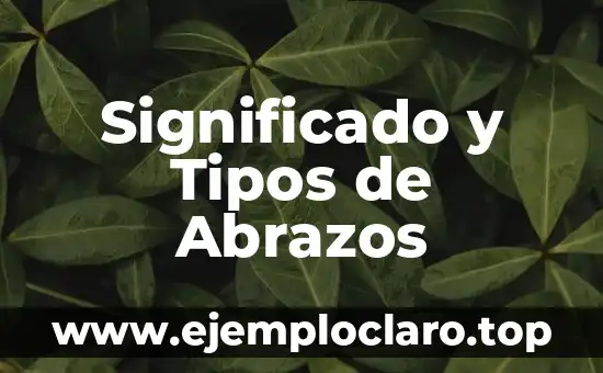 Significado y tipos de libertad 3 Significado y Tipos de Abrazos