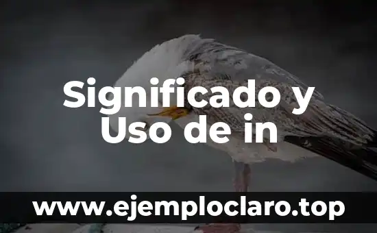 Bioética: Significado y Relevancia en la Actualidad 8 Significado y Uso de in