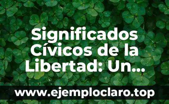 Significados Cívicos de la Libertad: Un Enfoque Integral