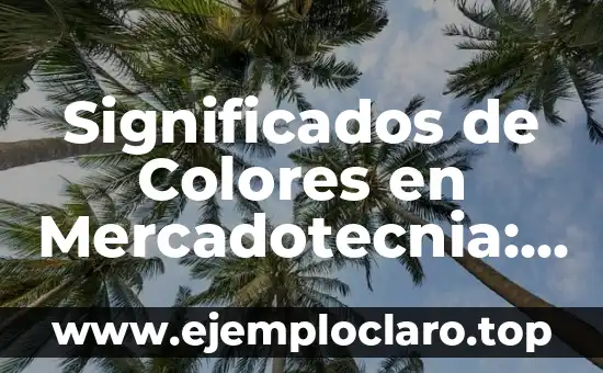 Zona de Vigilancia Aduanera: Un Concepto Clave en la Seguridad Fronteriza 5 Significados de Colores en Mercadotecnia: La Palabra Clave del Éxito