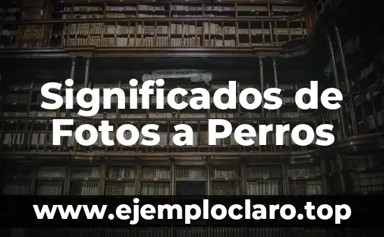 Significados de Fonética en Inglés - Una Guía Completa 8 Significados de Fotos a Perros