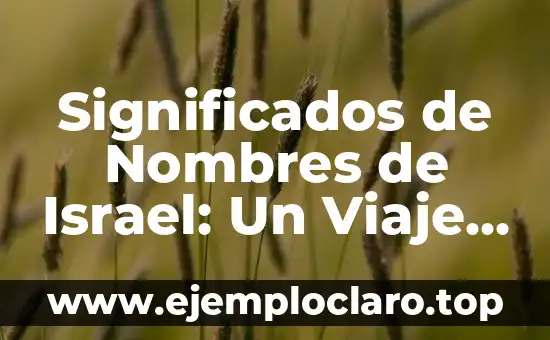Conceptos de significados de Umberto Eco: Un viaje a través de la semiótica y la filosofía 7 Significados de Nombres de Israel: Un Viaje a Través de la Cultura Hebrea