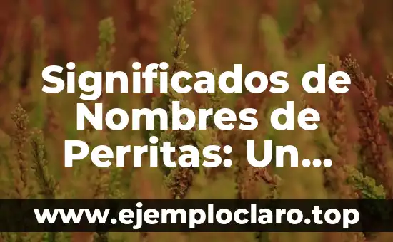 Tipos de Uñas y sus Significados: Un Viaje por la Estética y la Personalidad 6 Significados de Nombres de Perritas: Un Mundo de Personalidad y Simbolismo
