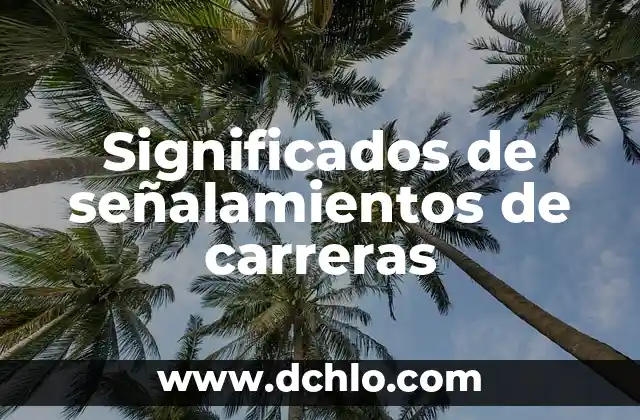 Tipos de Señalamientos y su Significado 6 Significados de señalamientos de carreras