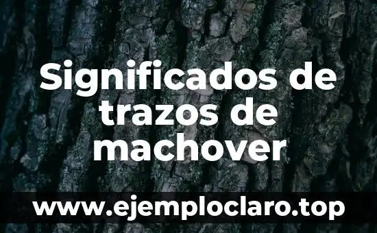 Conclusión de los Significados de los Trazos Topográficos 7 Significados de trazos de machover