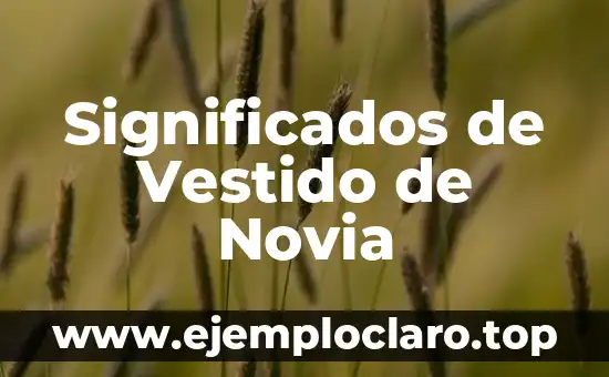 Significados del Concepto de Sustentabilidad: Una Guía Completa 3 Significados de Vestido de Novia