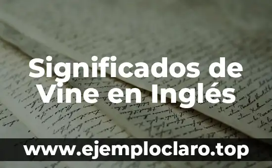 Significados del Concepto de Sustentabilidad: Una Guía Completa 6 Significados de Vine en Inglés