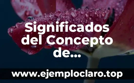 Significados del Concepto de Sustentabilidad: Una Guía Completa