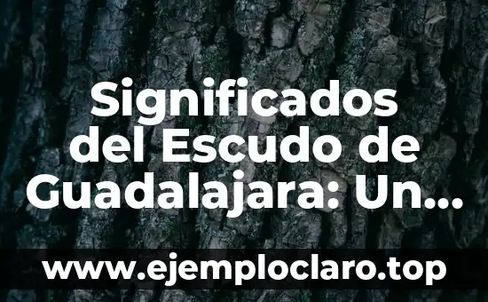 Significados del Concepto de Sustentabilidad: Una Guía Completa 8 Significados del Escudo de Guadalajara: Un Viaje Histórico
